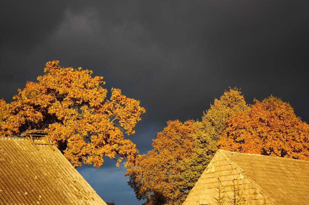 Przystanek Rospuda Villa Sucha Wies Luaran gambar