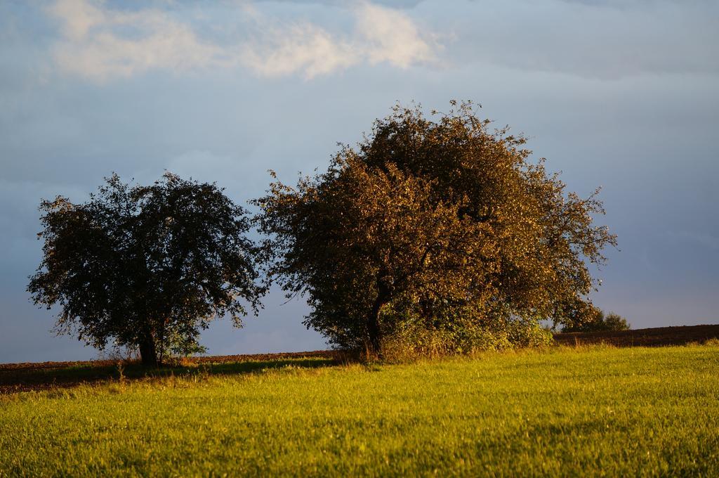 Przystanek Rospuda Villa Sucha Wies Luaran gambar